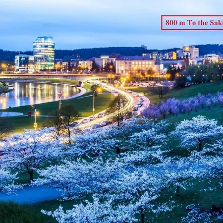 River To The - 7b * Vilnius